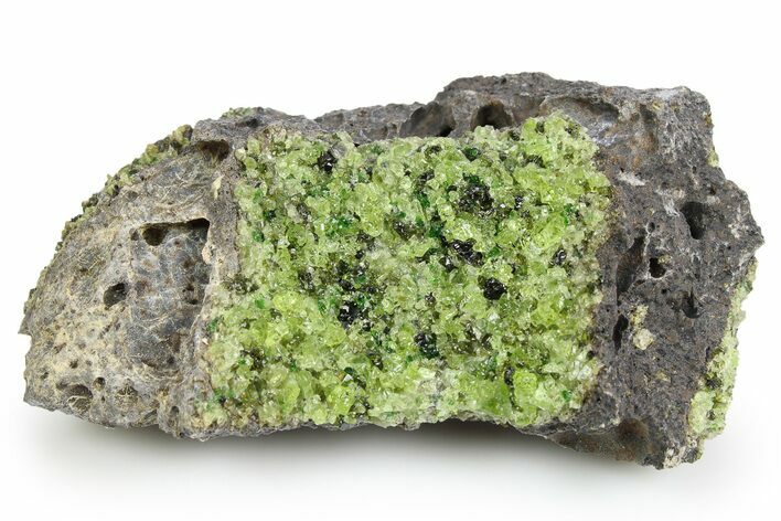 Peridot in Basalt - Arizona #259428